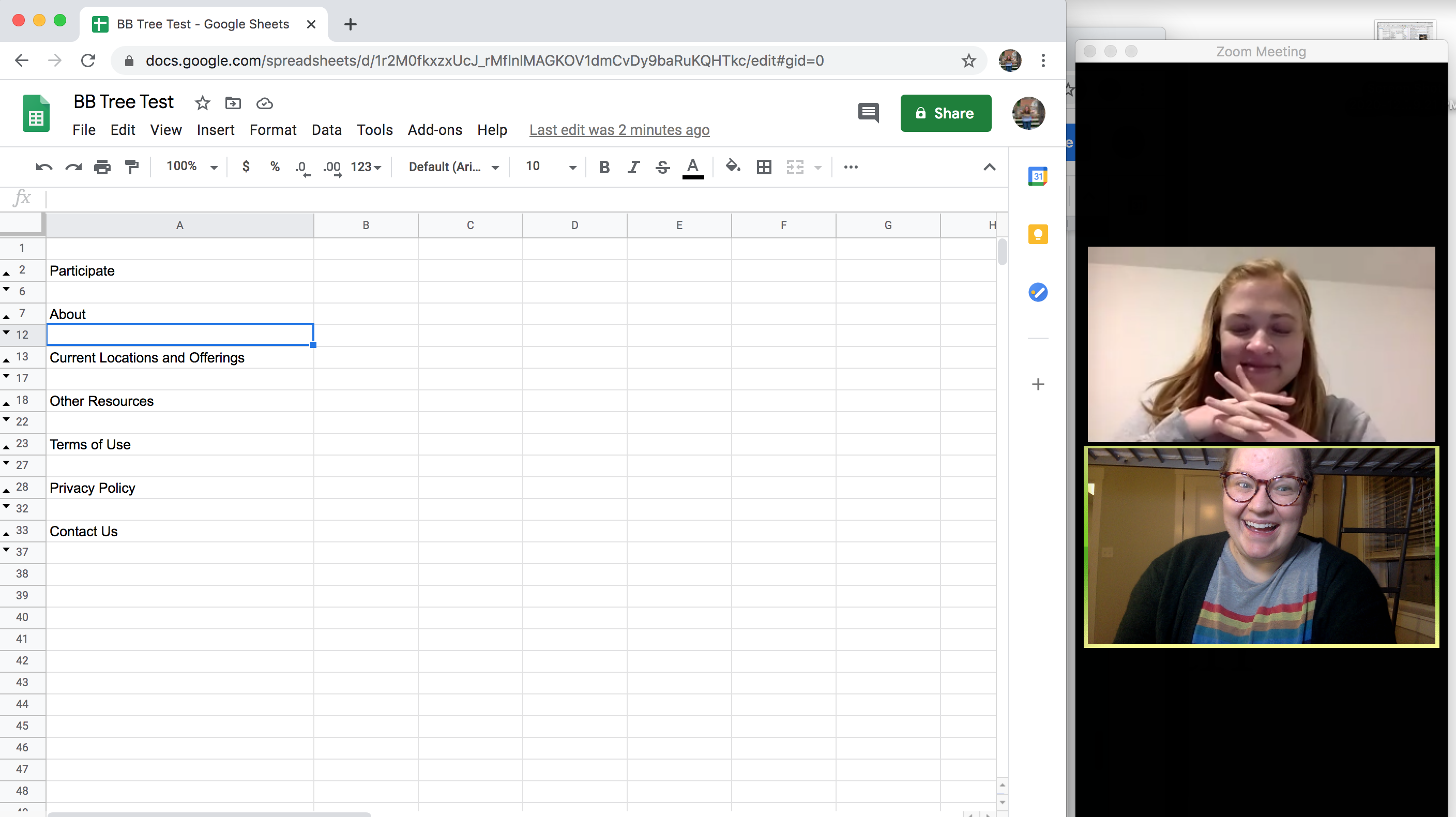 A screenshot of a Zoom meeting with a tree test formed in Google Spreadsheets showing in the screen share.