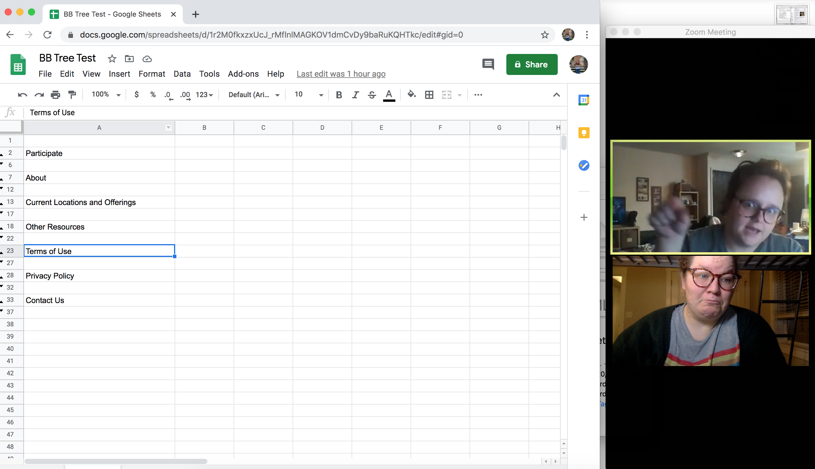 A screenshot of a Zoom meeting with a tree test formed in Google Spreadsheets showing in the screen share.